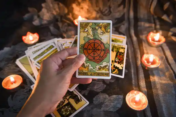 tarot cards South Bloomfield